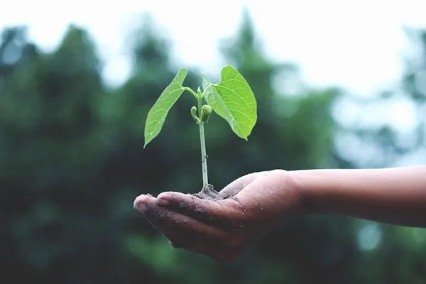 虎扑社区精彩瞬间 - 手机虎扑