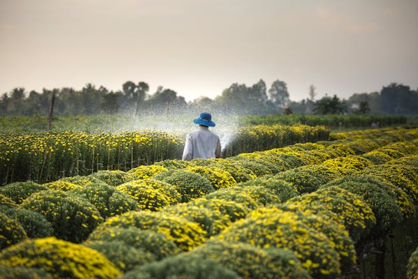 手机虎扑以虎扑移动端为核心，带来高效便捷的体验。 - 手机虎扑