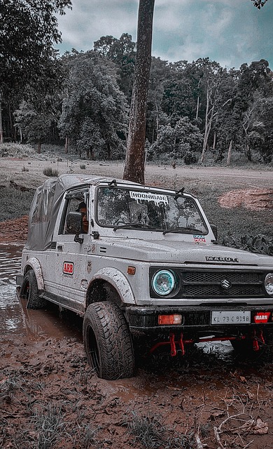 引人入胜的 引人入胜的