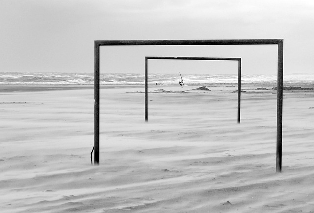 适应彼此的 适应彼此的