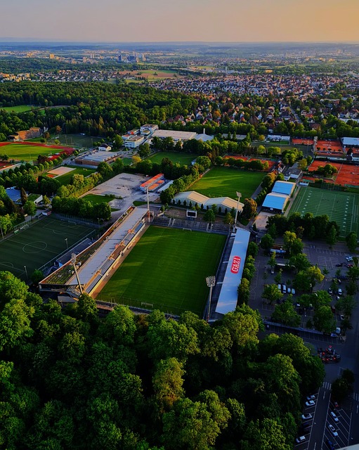 大胆的战术 大胆的战术