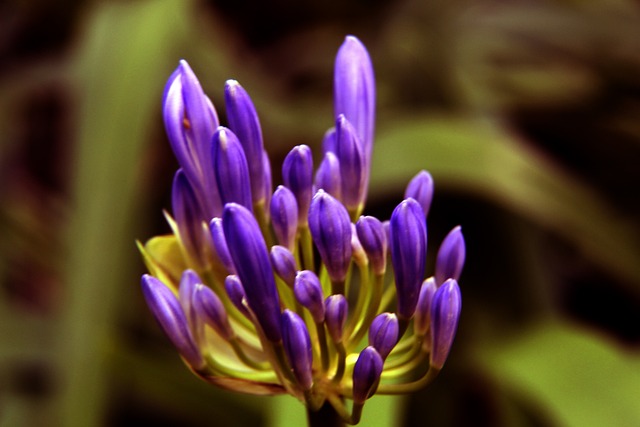 来的发展奠 来的发展奠