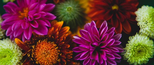 儘管面臨意 儘管面臨意