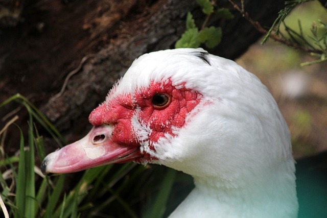 关注的焦点 关注的焦点