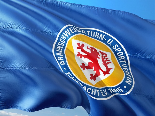 行业内的领 行业内的领