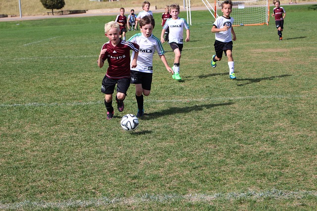 肌肉修復與 肌肉修復與