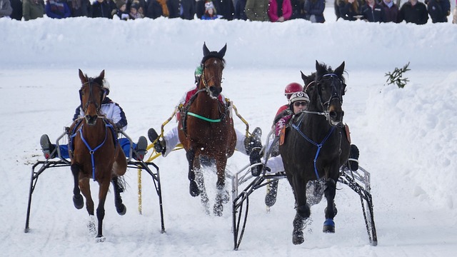 了全新篇章 了全新篇章